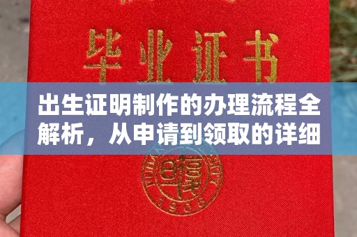 临沂出生证明制作的办理流程全解析，从申请到领取的详细指南