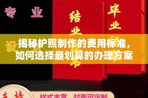 临沂揭秘护照制作的费用标准，如何选择最划算的办理方案？