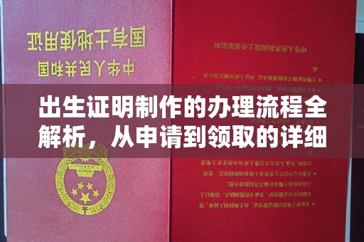 临沂出生证明制作的办理流程全解析，从申请到领取的详细指南