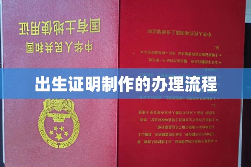临沂出生证明制作的办理流程