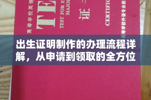 临沂出生证明制作的办理流程详解，从申请到领取的全方位指南