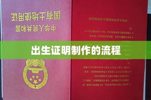 临沂出生证明制作的流程