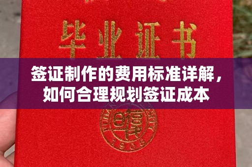 临沂签证制作的费用标准详解，如何合理规划签证成本